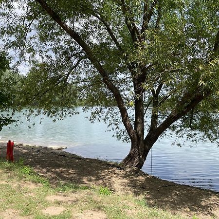 Camping Oaza Bela Crkva  Exterior photo