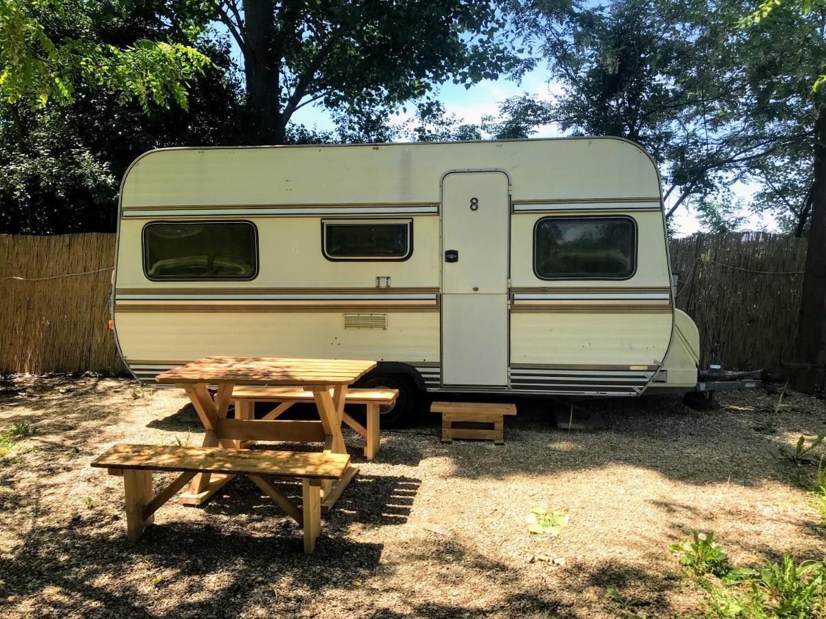 Camping Oaza Bela Crkva  Exterior photo