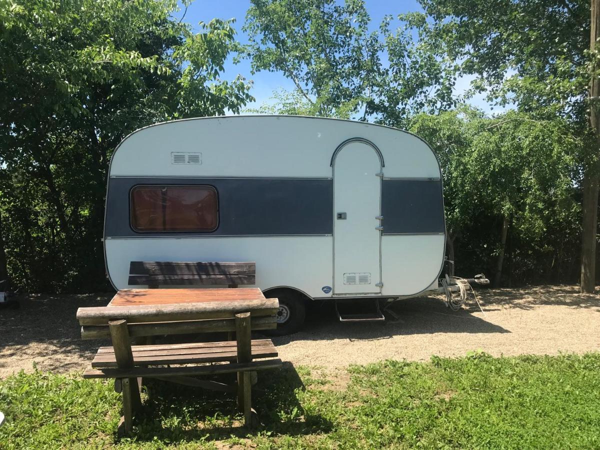 Camping Oaza Bela Crkva  Exterior photo