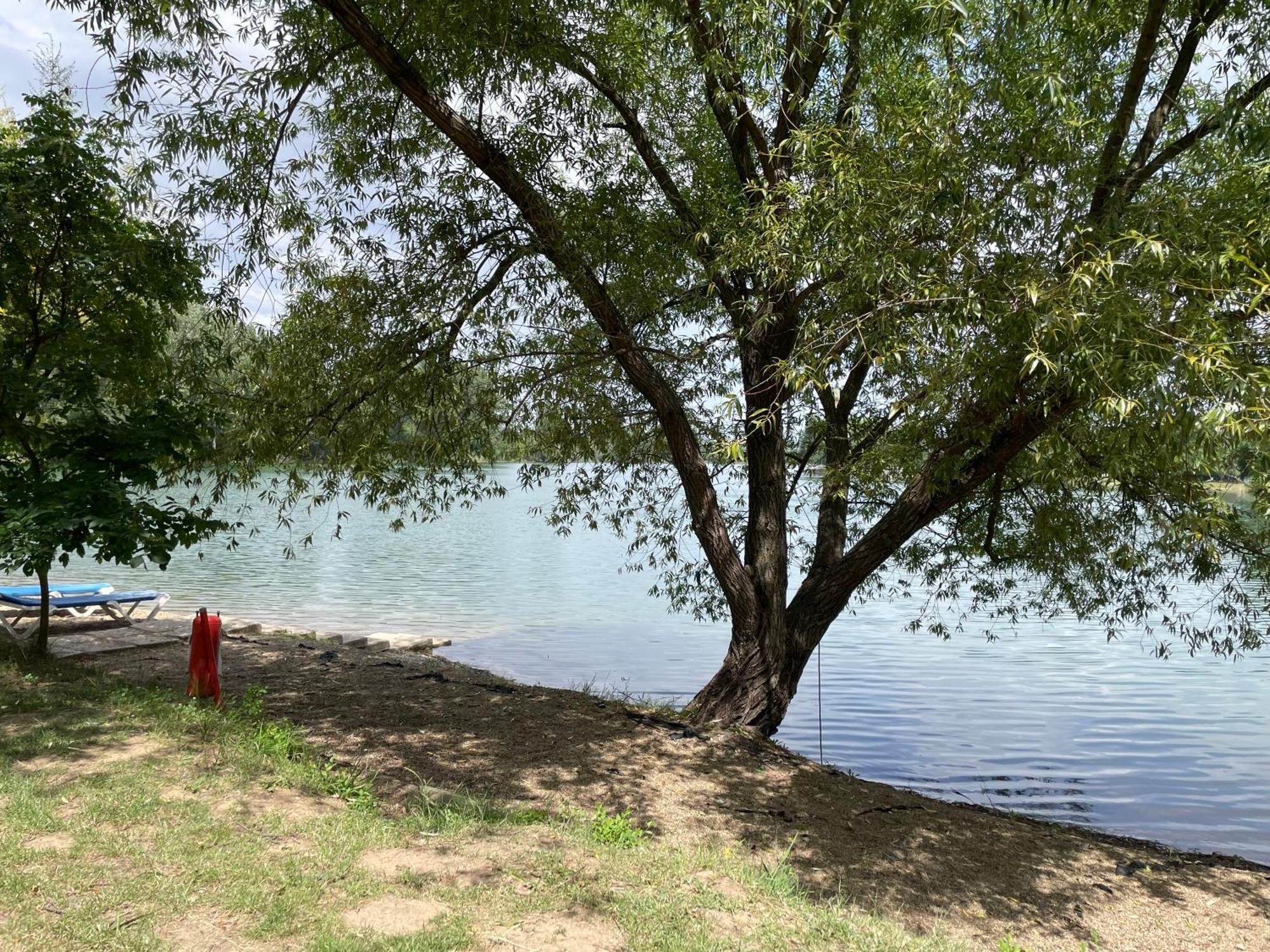 Camping Oaza Bela Crkva  Exterior photo