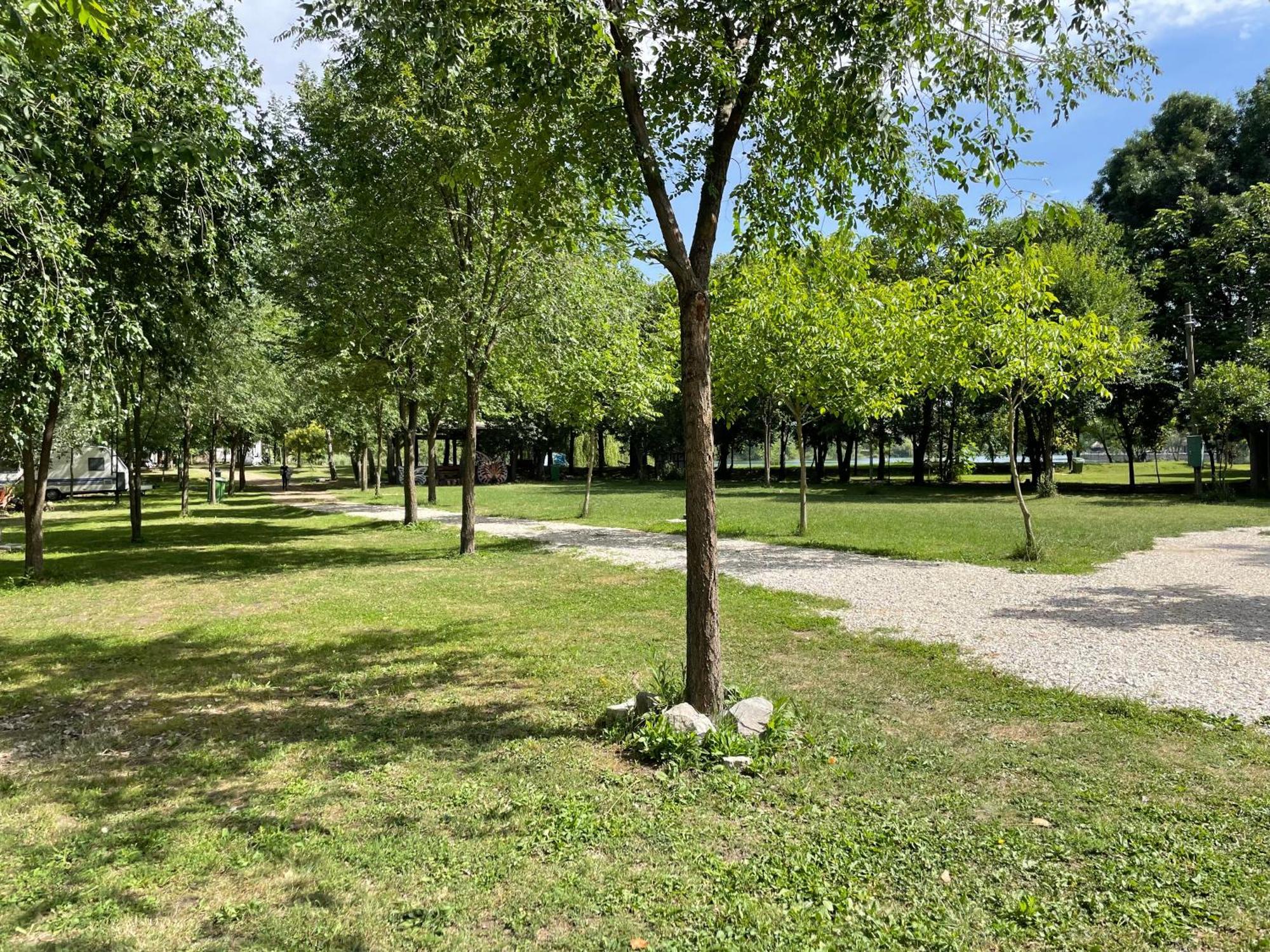 Camping Oaza Bela Crkva  Exterior photo